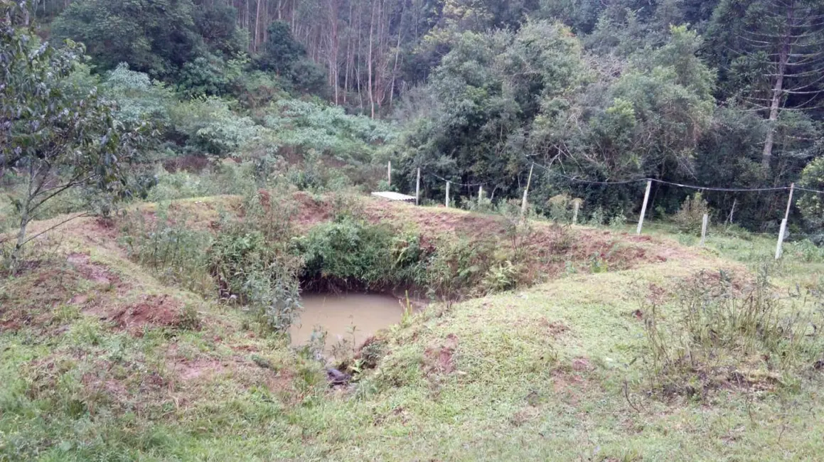 Foto 1 de Chácara à venda, 3200m2 em Santa Cruz Do Sul - RS