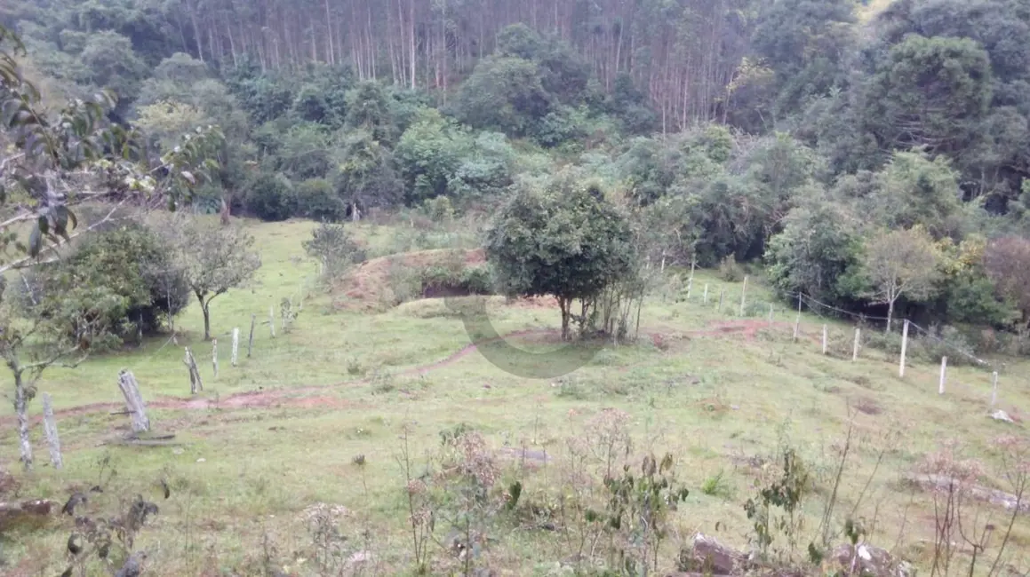 Foto 7 de Chácara à venda, 3200m2 em Santa Cruz Do Sul - RS