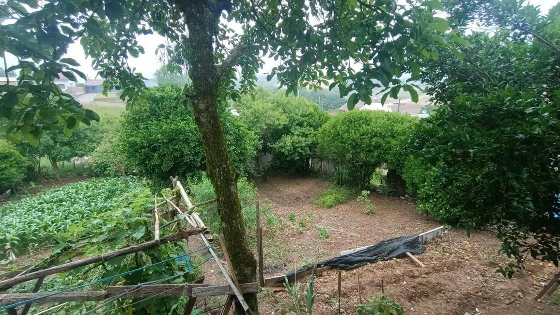 Foto 6 de Casa à venda, 900m2 em Linha Santa Cruz, Santa Cruz Do Sul - RS