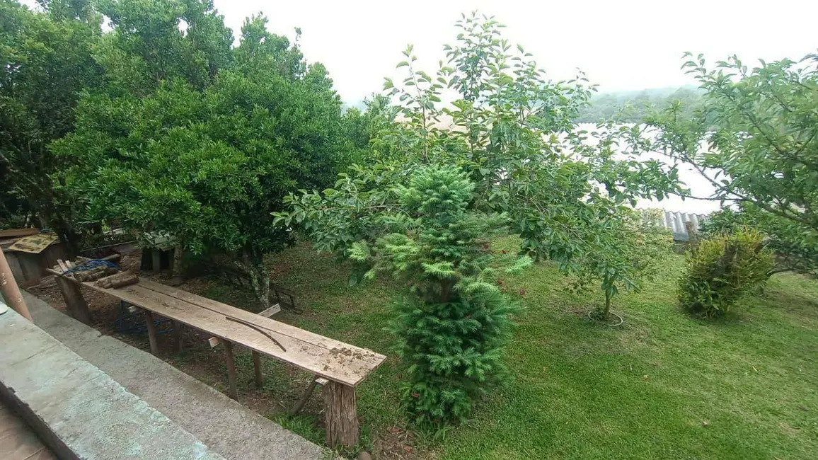 Foto 4 de Casa à venda, 900m2 em Linha Santa Cruz, Santa Cruz Do Sul - RS