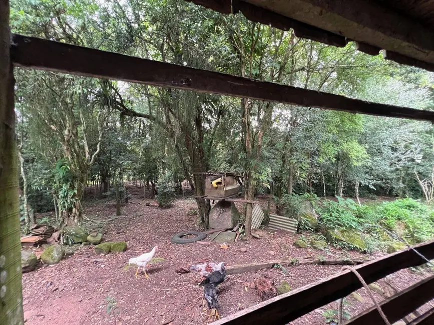 Foto 8 de Chácara à venda, 8808m2 em Linha Santa Cruz, Santa Cruz Do Sul - RS