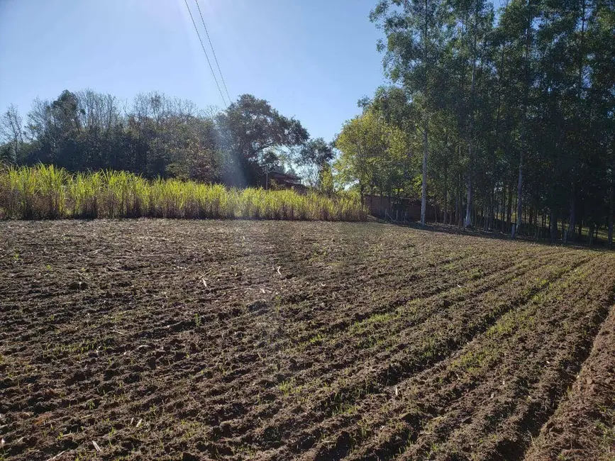 Foto 9 de Chácara com 3 quartos à venda, 74688m2 em Santa Cruz Do Sul - RS