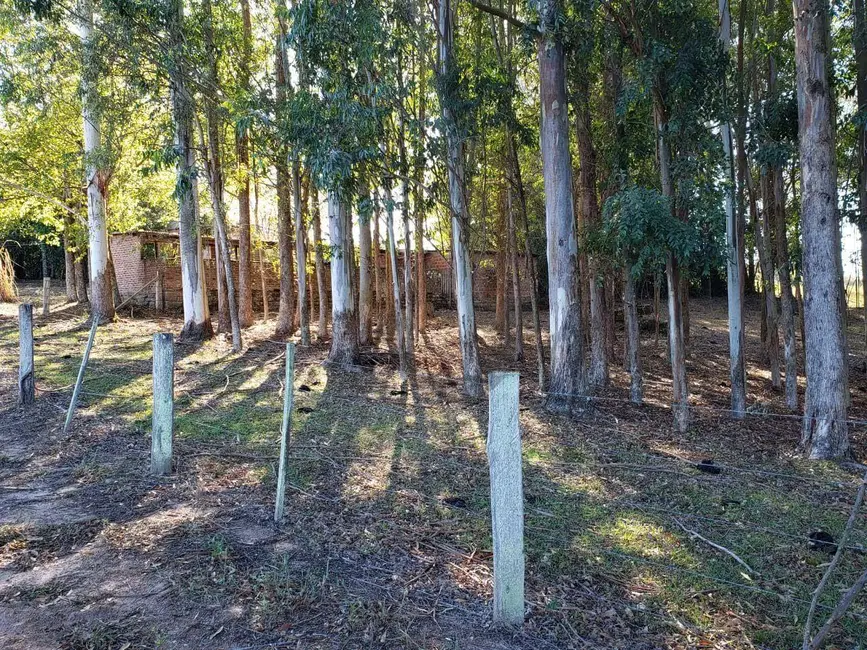 Foto 7 de Chácara com 3 quartos à venda, 74688m2 em Santa Cruz Do Sul - RS