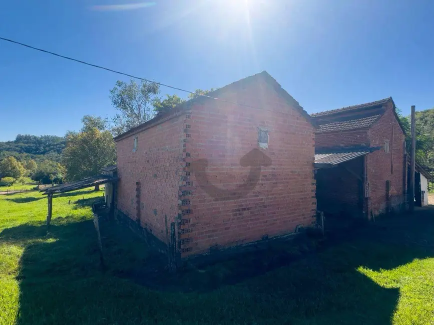 Foto 6 de Chácara com 4 quartos à venda, 77000m2 em Santa Cruz Do Sul - RS