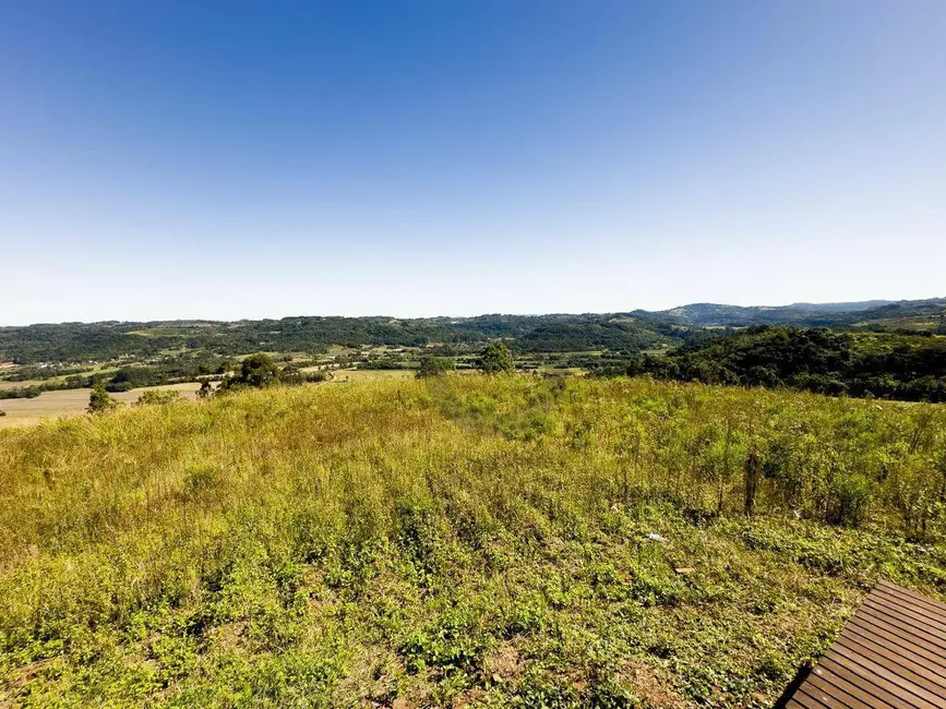 Foto 2 de Chácara com 1 quarto à venda, 40000m2 em Santa Cruz Do Sul - RS