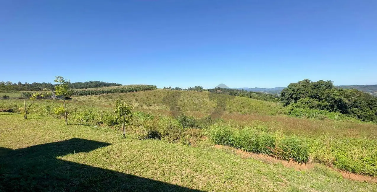 Foto 4 de Chácara com 1 quarto à venda, 40000m2 em Santa Cruz Do Sul - RS