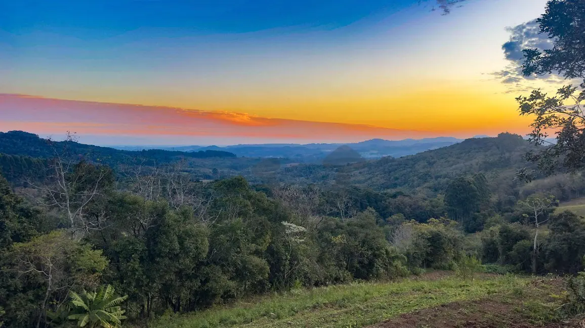 Foto 9 de Chácara à venda, 23000m2 em Santa Cruz Do Sul - RS
