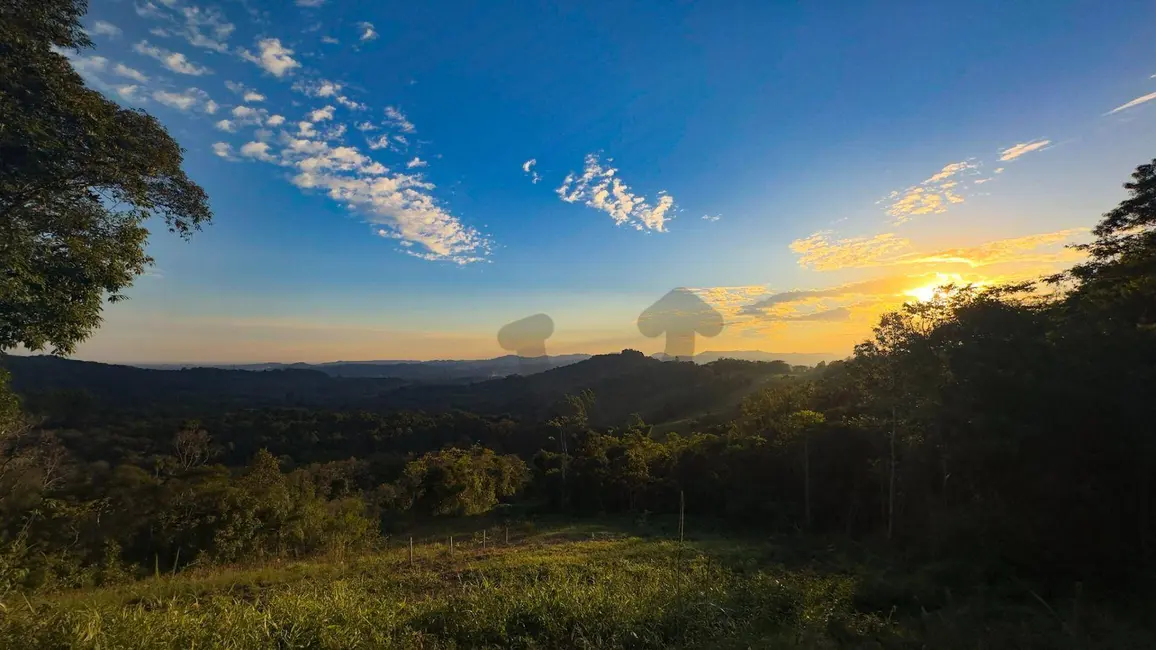 Foto 6 de Chácara à venda, 23000m2 em Santa Cruz Do Sul - RS