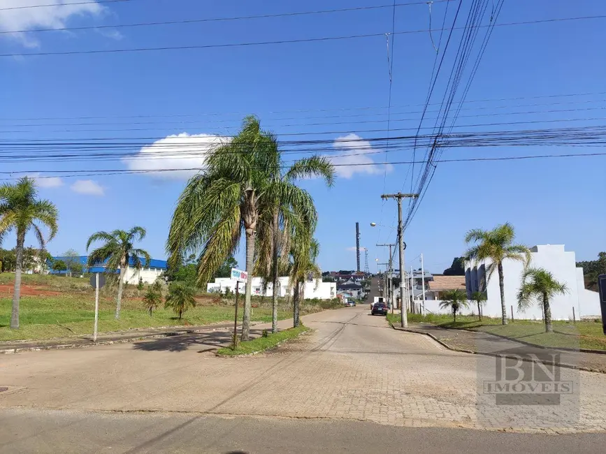Foto 4 de Terreno / Lote à venda, 654m2 em João Alves, Santa Cruz Do Sul - RS