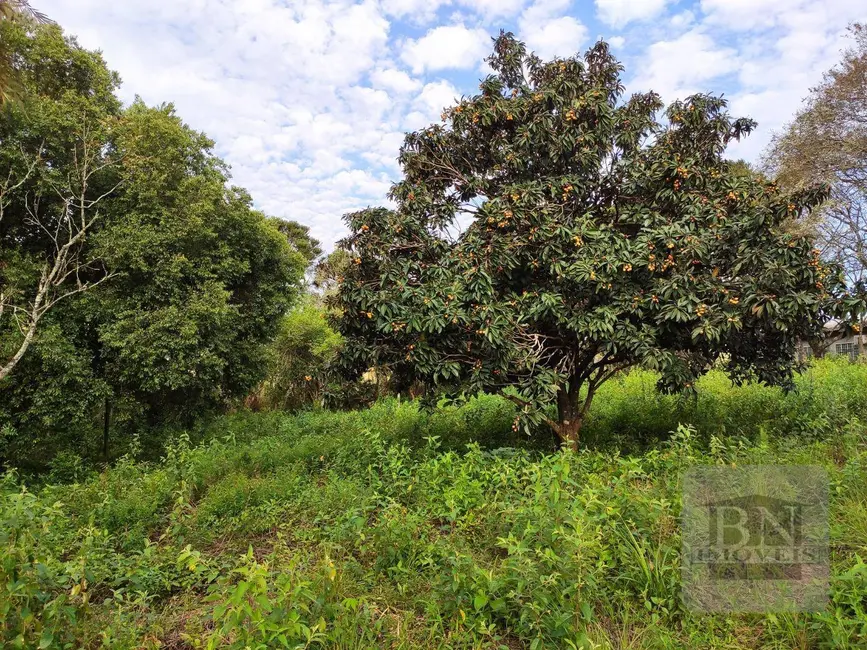 Terreno / Lote à venda, 2606m2 em Country, Santa Cruz Do Sul - RS - imagem 5 Foto 5 de Terreno / Lote à venda, 2606m2 em Country, Santa Cruz Do Sul - RS