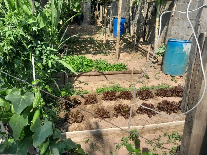 Foto 8 de Chácara com 2 quartos à venda em Jaguariuna - SP