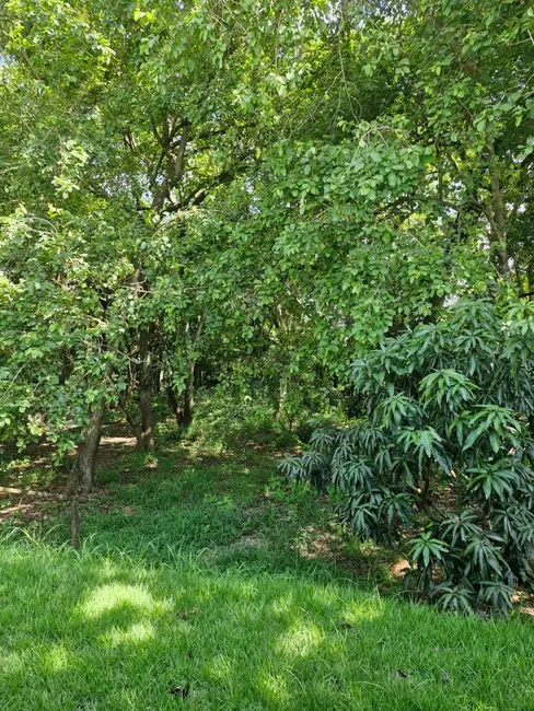 Foto 8 de Casa de Condomínio com 3 quartos para alugar, 168m2 em Jaguariuna - SP