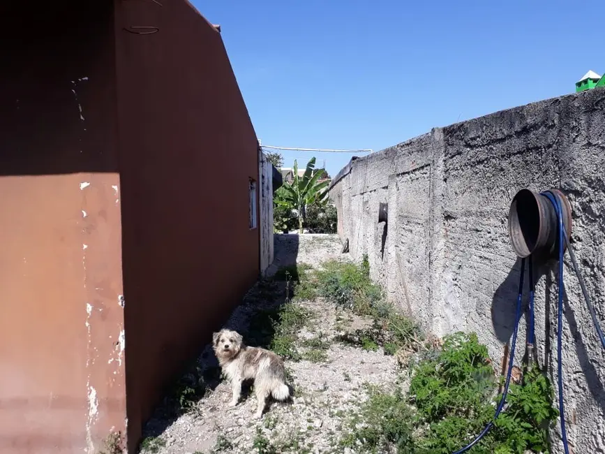 Foto 3 de Casa com 3 quartos à venda, 200m2 em Maria Antonieta, Pinhais - PR