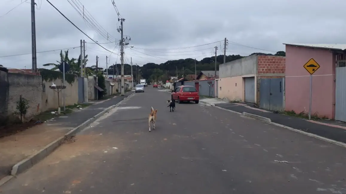Terreno / Lote à venda, 130m2 em Jardim Santa Mônica, Piraquara - PR - imagem 7 Foto 7 de Terreno / Lote à venda, 130m2 em Jardim Santa Mônica, Piraquara - PR