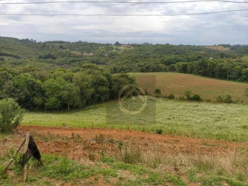 Chácara com 4 quartos à venda, 38000m2 em Roça Velha, Sao Jose Dos Pinhais - PR - imagem 5 Foto 5 de Chácara com 4 quartos à venda, 38000m2 em Roça Velha, Sao Jose Dos Pinhais - PR