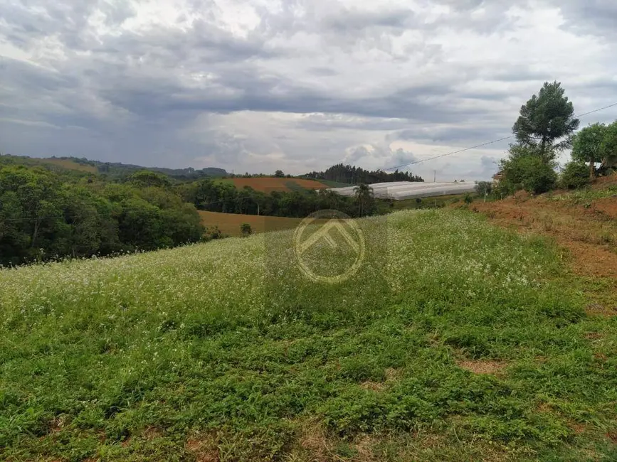 Chácara com 4 quartos à venda, 38000m2 em Roça Velha, Sao Jose Dos Pinhais - PR - imagem 8 Foto 8 de Chácara com 4 quartos à venda, 38000m2 em Roça Velha, Sao Jose Dos Pinhais - PR