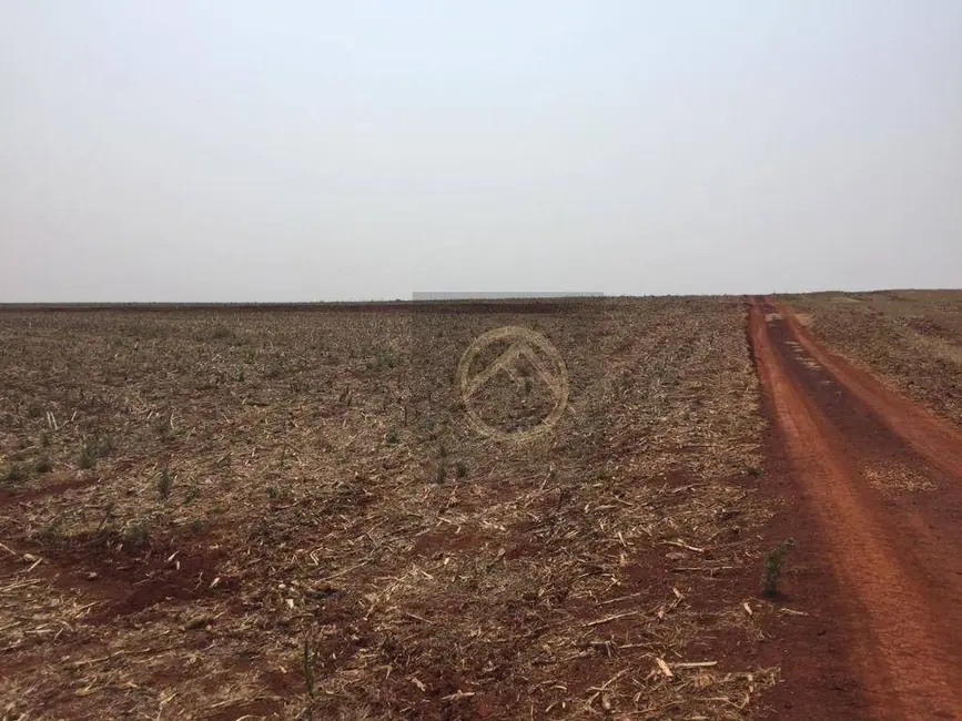 Foto 1 de Fazenda / Haras à venda, 9825200m2 em Centro, Tamarana - PR