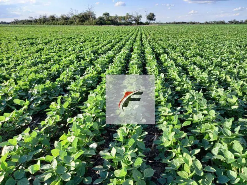 Foto 5 de Fazenda / Haras com 2 quartos à venda, 1185800m2 em Lapa - PR