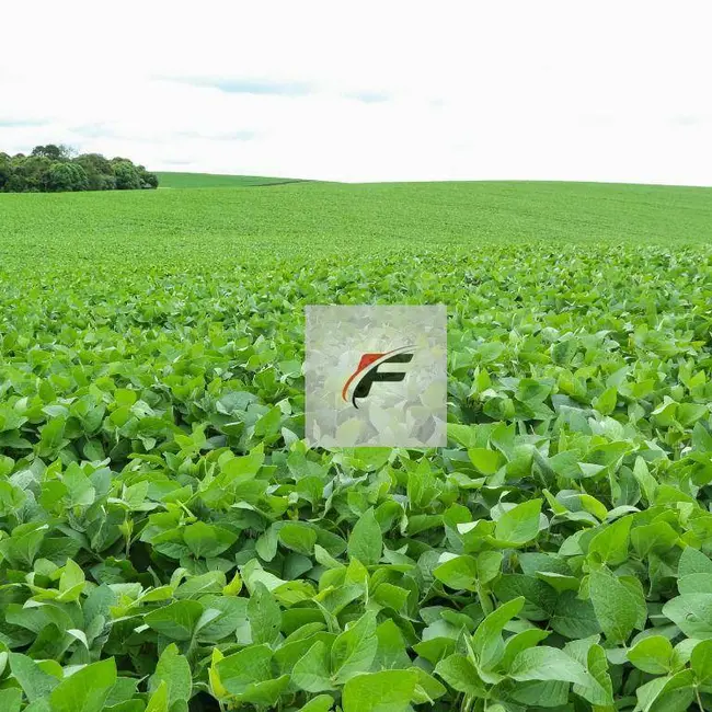 Foto 3 de Fazenda / Haras com 2 quartos à venda, 1185800m2 em Lapa - PR