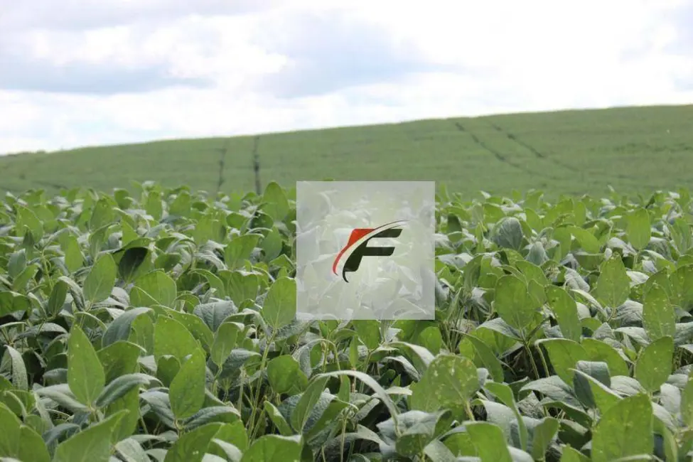 Foto 4 de Fazenda / Haras com 2 quartos à venda, 1185800m2 em Lapa - PR