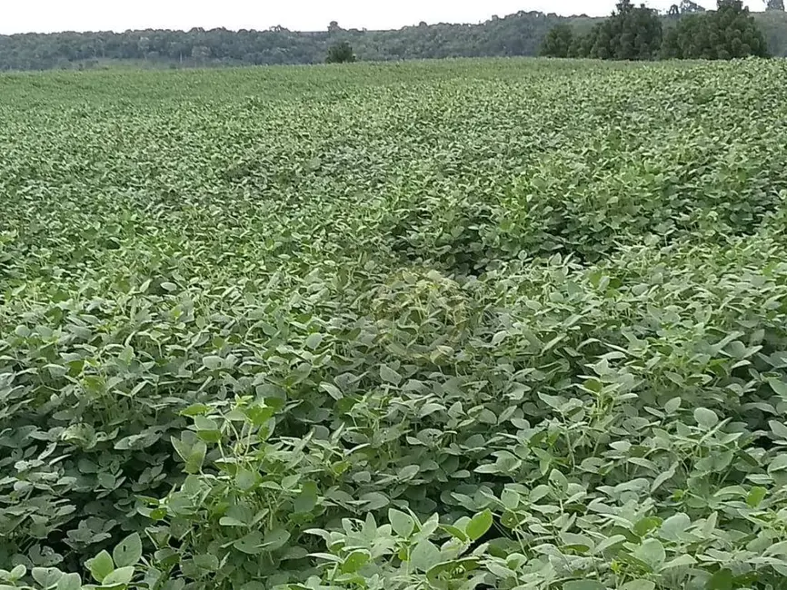 Fazenda / Haras à venda, 3000800m2 em Centro, Candoi - PR - imagem 3 Foto 3 de Fazenda / Haras à venda, 3000800m2 em Centro, Candoi - PR