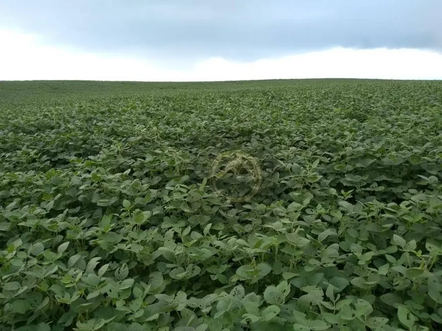 Fazenda / Haras à venda, 3000800m2 em Centro, Candoi - PR - imagem 1 Foto 1 de Fazenda / Haras à venda, 3000800m2 em Centro, Candoi - PR