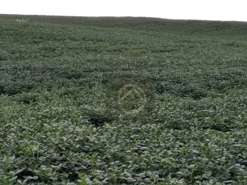 Fazenda / Haras à venda, 3000800m2 em Centro, Candoi - PR - imagem 4 Foto 4 de Fazenda / Haras à venda, 3000800m2 em Centro, Candoi - PR