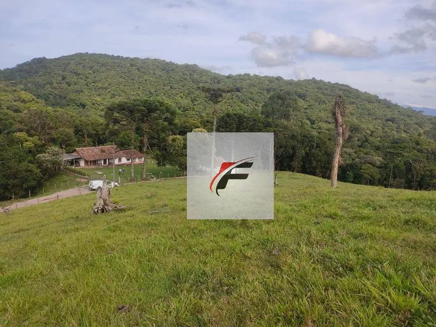 Foto 8 de Chácara com 3 quartos à venda, 363000m2 em Tijucas Do Sul - PR