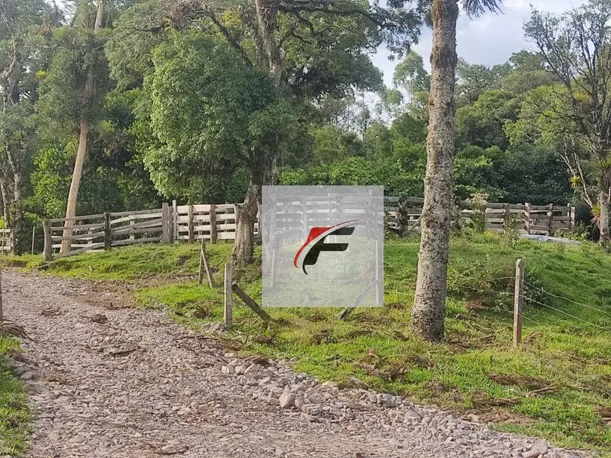 Foto 2 de Chácara com 3 quartos à venda, 363000m2 em Tijucas Do Sul - PR