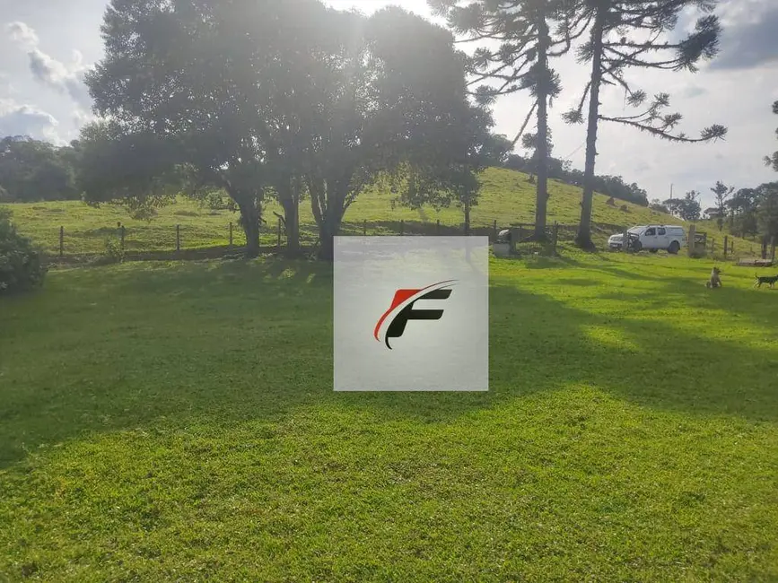 Foto 4 de Chácara com 3 quartos à venda, 363000m2 em Tijucas Do Sul - PR