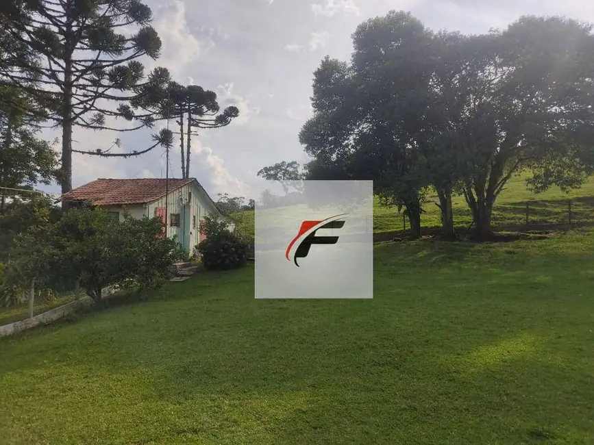 Foto 5 de Chácara com 3 quartos à venda, 363000m2 em Tijucas Do Sul - PR