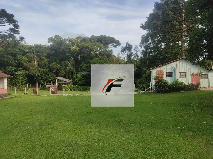 Foto 6 de Chácara com 3 quartos à venda, 363000m2 em Tijucas Do Sul - PR