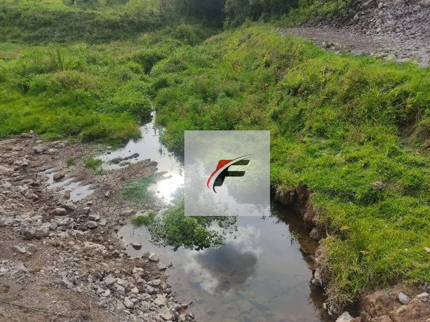 Foto 3 de Chácara com 3 quartos à venda, 363000m2 em Tijucas Do Sul - PR