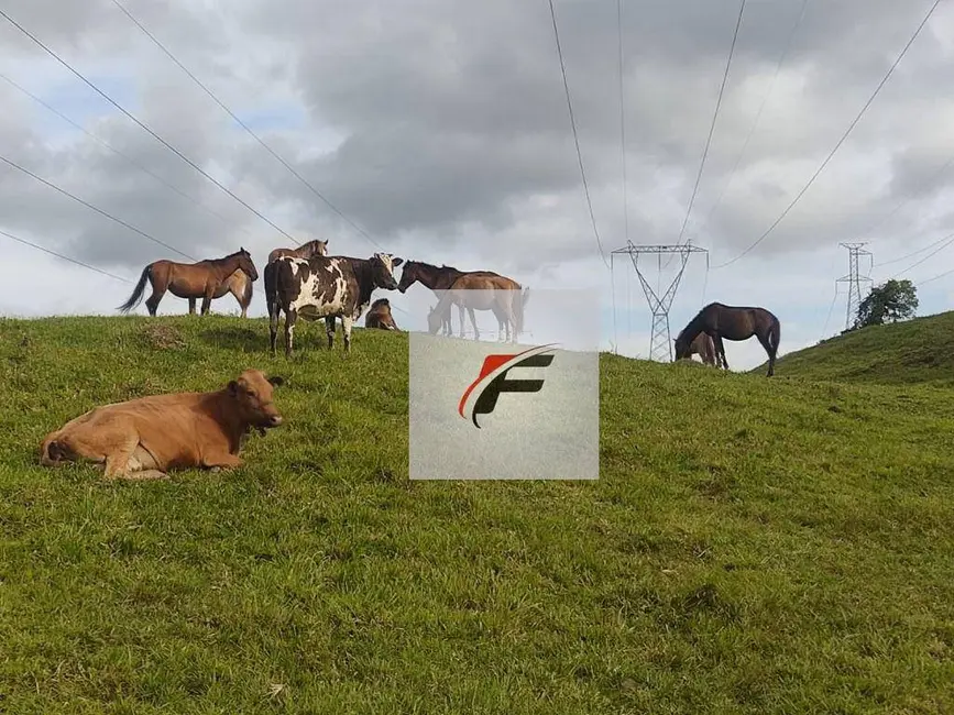 Foto 1 de Chácara com 3 quartos à venda, 363000m2 em Tijucas Do Sul - PR