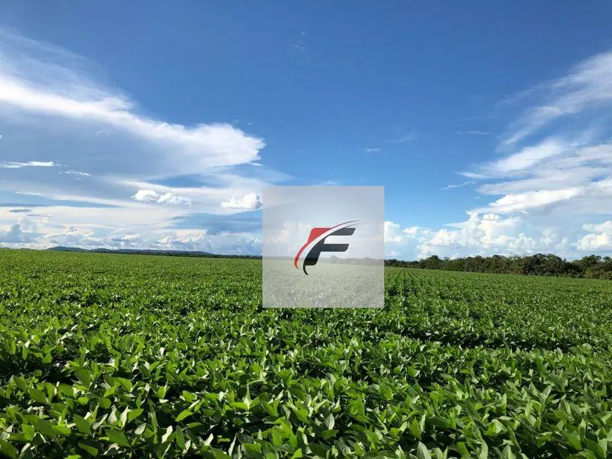 Foto 2 de Fazenda / Haras à venda, 2662000m2 em Centro, Ibaiti - PR