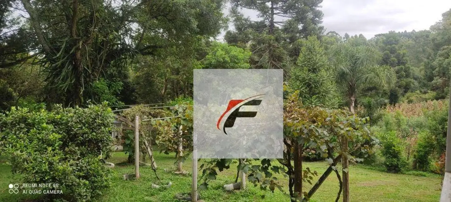 Chácara com 7 quartos à venda, 27116m2 em Umbará, Curitiba - PR - imagem 6 Foto 6 de Chácara com 7 quartos à venda, 27116m2 em Umbará, Curitiba - PR