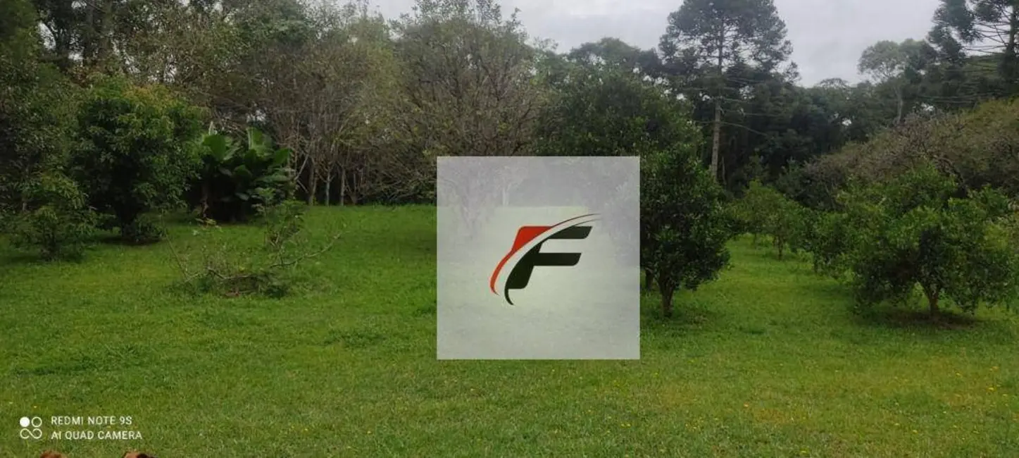 Chácara com 7 quartos à venda, 27116m2 em Umbará, Curitiba - PR - imagem 7 Foto 7 de Chácara com 7 quartos à venda, 27116m2 em Umbará, Curitiba - PR