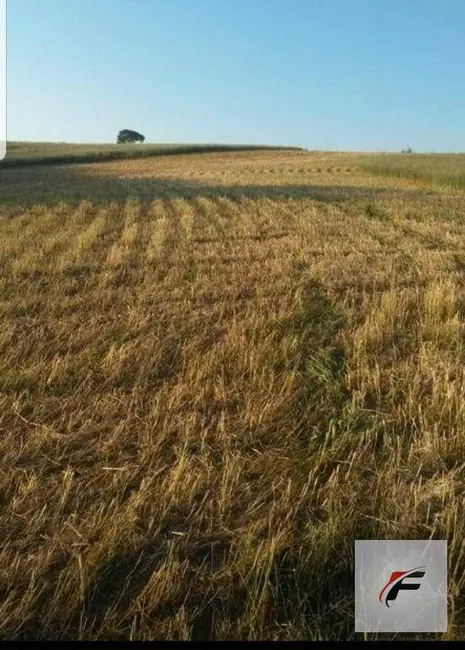 Foto 2 de Fazenda / Haras à venda, 2758800m2 em Turvo - PR
