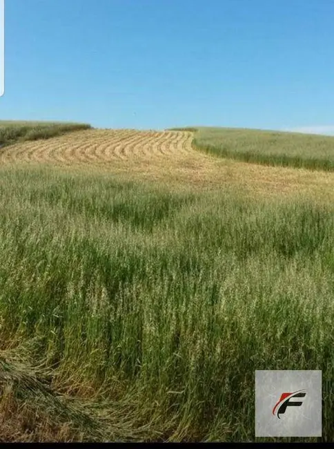 Foto 1 de Fazenda / Haras à venda, 2758800m2 em Turvo - PR