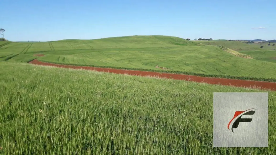 Foto 6 de Fazenda / Haras à venda, 2988700m2 em Faxinal - PR