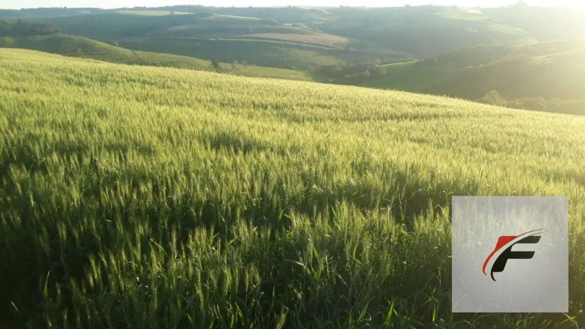 Foto 4 de Fazenda / Haras à venda, 2988700m2 em Faxinal - PR