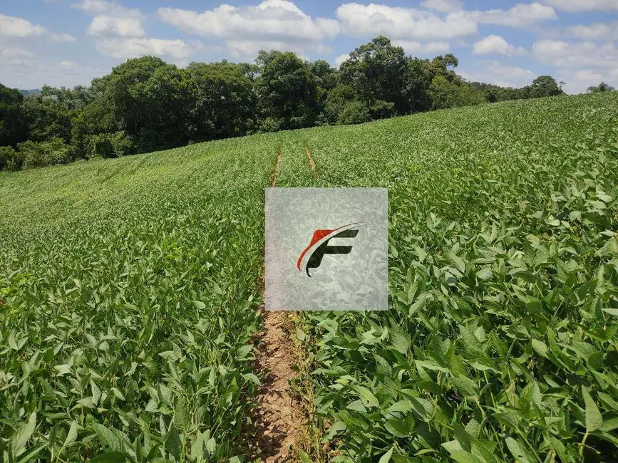 Foto 5 de Chácara com 3 quartos à venda, 108900m2 em Lapa - PR