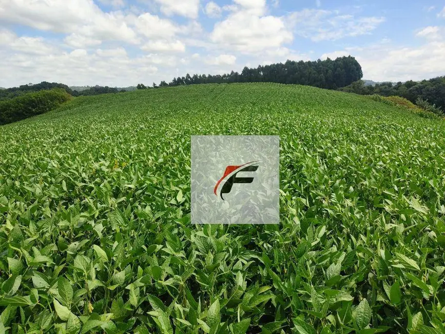 Foto 8 de Chácara com 3 quartos à venda, 108900m2 em Lapa - PR