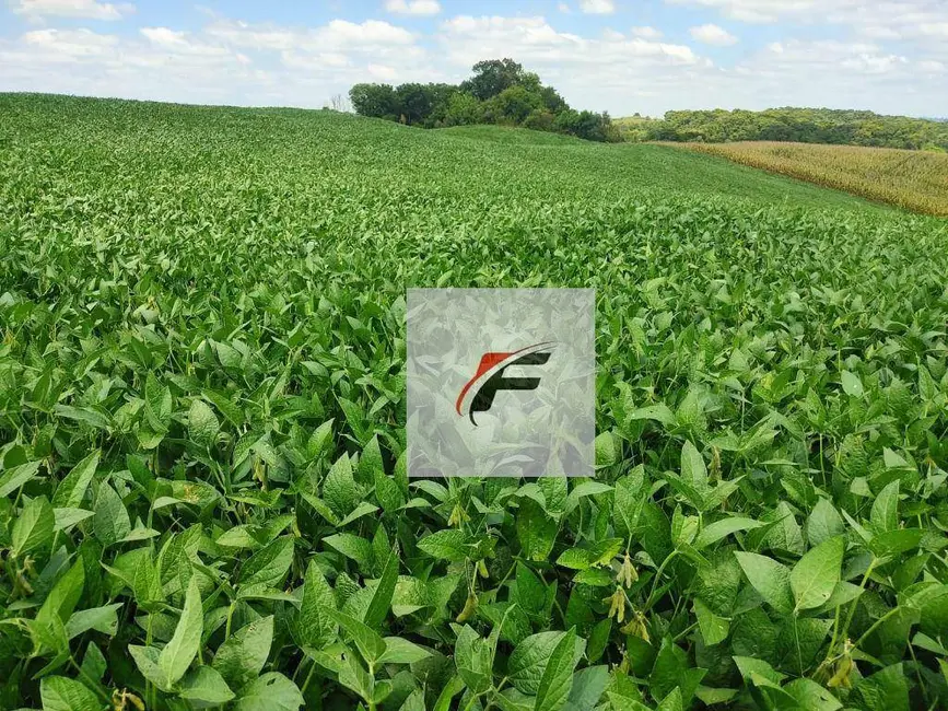Foto 1 de Chácara com 3 quartos à venda, 111000m2 em Lapa - PR