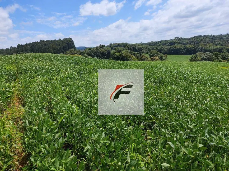 Foto 6 de Chácara com 3 quartos à venda, 108900m2 em Lapa - PR