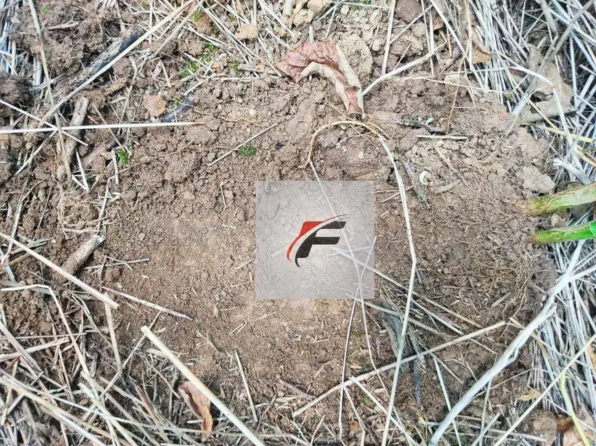 Foto 9 de Chácara com 3 quartos à venda, 108900m2 em Lapa - PR