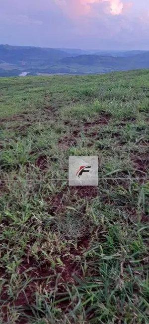 Foto 4 de Fazenda / Haras à venda, 1149500m2 em Manoel Ribas - PR