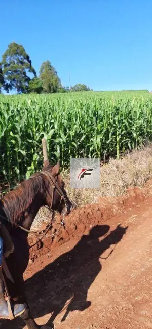 Foto 5 de Fazenda / Haras à venda, 1149500m2 em Manoel Ribas - PR