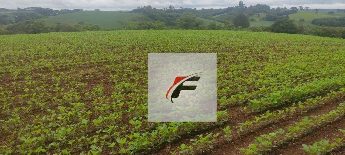 Chácara com 1 quarto à venda, 137214m2 em Colônia Balbino Cunha, Campo Largo - PR - imagem 3 Foto 3 de Chácara com 1 quarto à venda, 137214m2 em Colônia Balbino Cunha, Campo Largo - PR