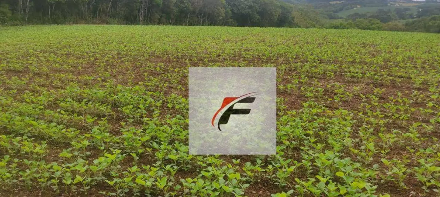 Chácara com 1 quarto à venda, 137214m2 em Colônia Balbino Cunha, Campo Largo - PR - imagem 5 Foto 5 de Chácara com 1 quarto à venda, 137214m2 em Colônia Balbino Cunha, Campo Largo - PR